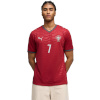 Puma T-särk meestele Fpf Home Jersey Replica punane 788141 77 suurus XXL