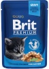 Brit kassitoit Premium Cat Kitten Chicken, 100g
