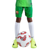 Lühikesed püksid Kids Nike FC Barcelona 2025/26 Stadium Goalkeeper roheline HQ0475 310 L