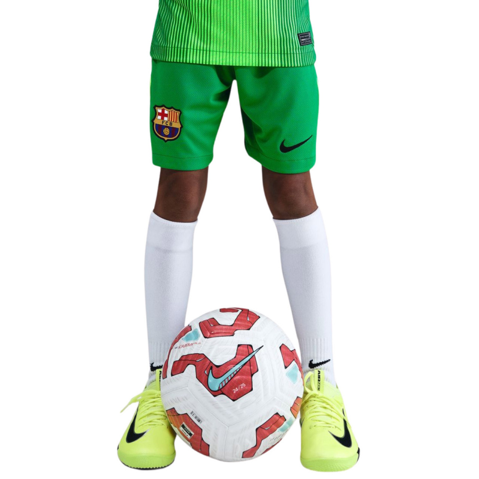 Lühikesed püksid Kids Nike FC Barcelona 2025/26 Stadium Goalkeeper roheline HQ0475 310 L