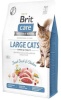 Brit kuivtoit kassile Care Grain-Free Adult Large Cats - Dry cat Food- 2kg