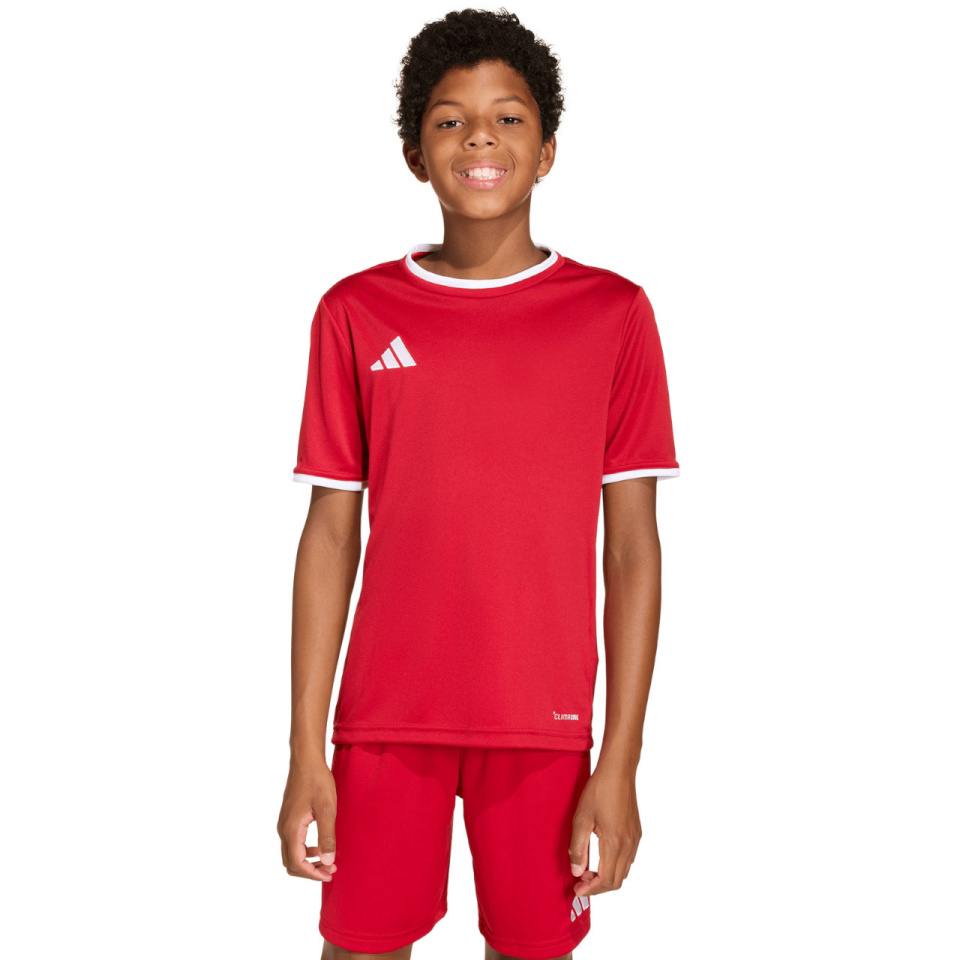 Adidas Teamwear T-särk lastele Entrada 26 Jersey punane JZ2523 suurus 176cm