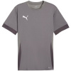 Puma T-särk meestele Teamgoal Matchday Jersey hall 705747 13 suurus XL