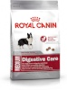 Royal Canin kuivtoit koerale Adult CCN Medium Digestive Care, 3kg