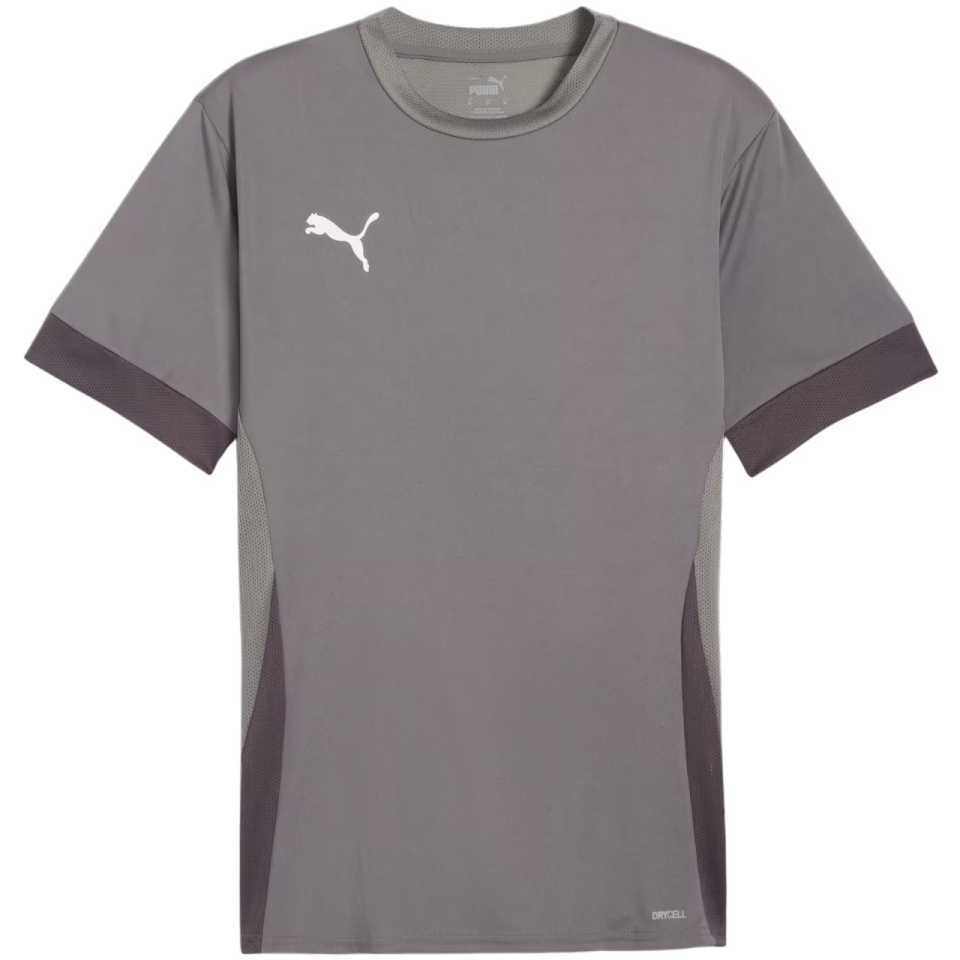 Puma T-särk meestele Teamgoal Matchday Jersey hall 705747 13 suurus M