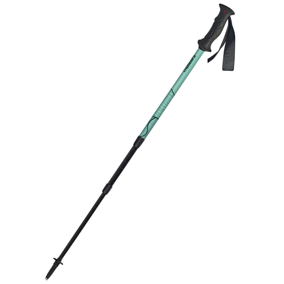 Masters matkakepid Scout matkakepid Arctic Bue/Blue helesinised