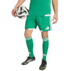 Lühikesed püksid meestele Adidas Tiro 26 Competition Match Day roheline KA6175 2XL