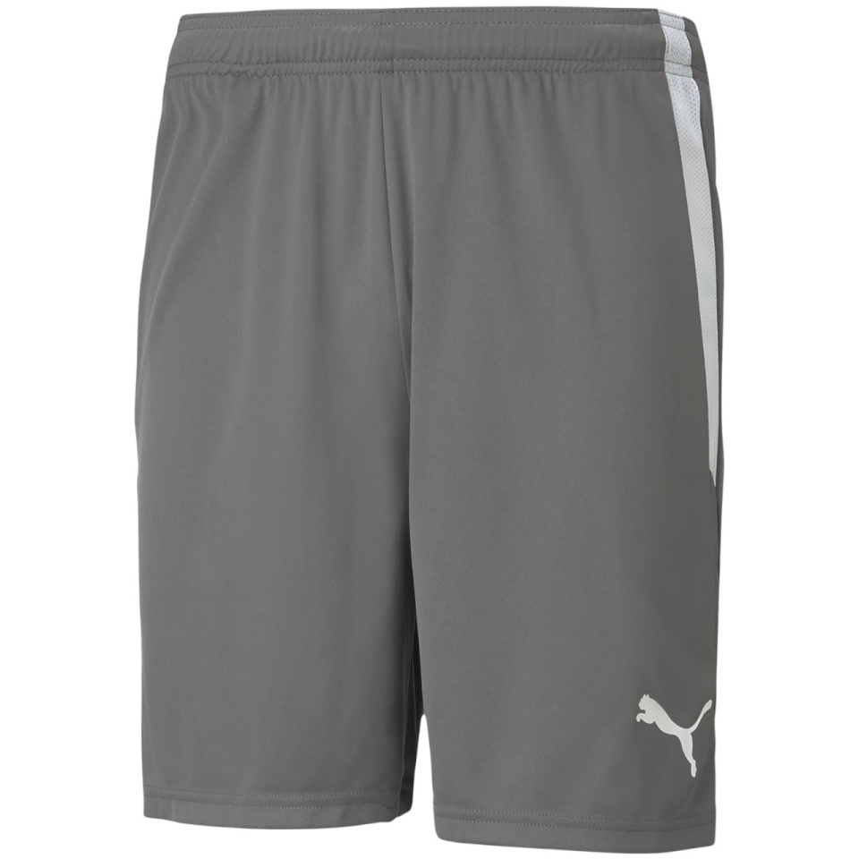 Lühikesed püksid meestele Puma Teamliga hall 704924 13 S