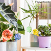 BGB Automaatsed kastmispallid Ballwooters InnovaGoods 4 Ühikut