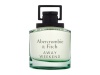 Abercrombie & Fitch parfüüm Away Weekend 100ml, meestele