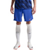 Lühikesed püksid meestele Nike France Dri-Fit Adv Elite Training sinine IB4603 480 XL