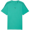 Puma T-särk meestele Tape Tee roheline 691693 40 suurus L