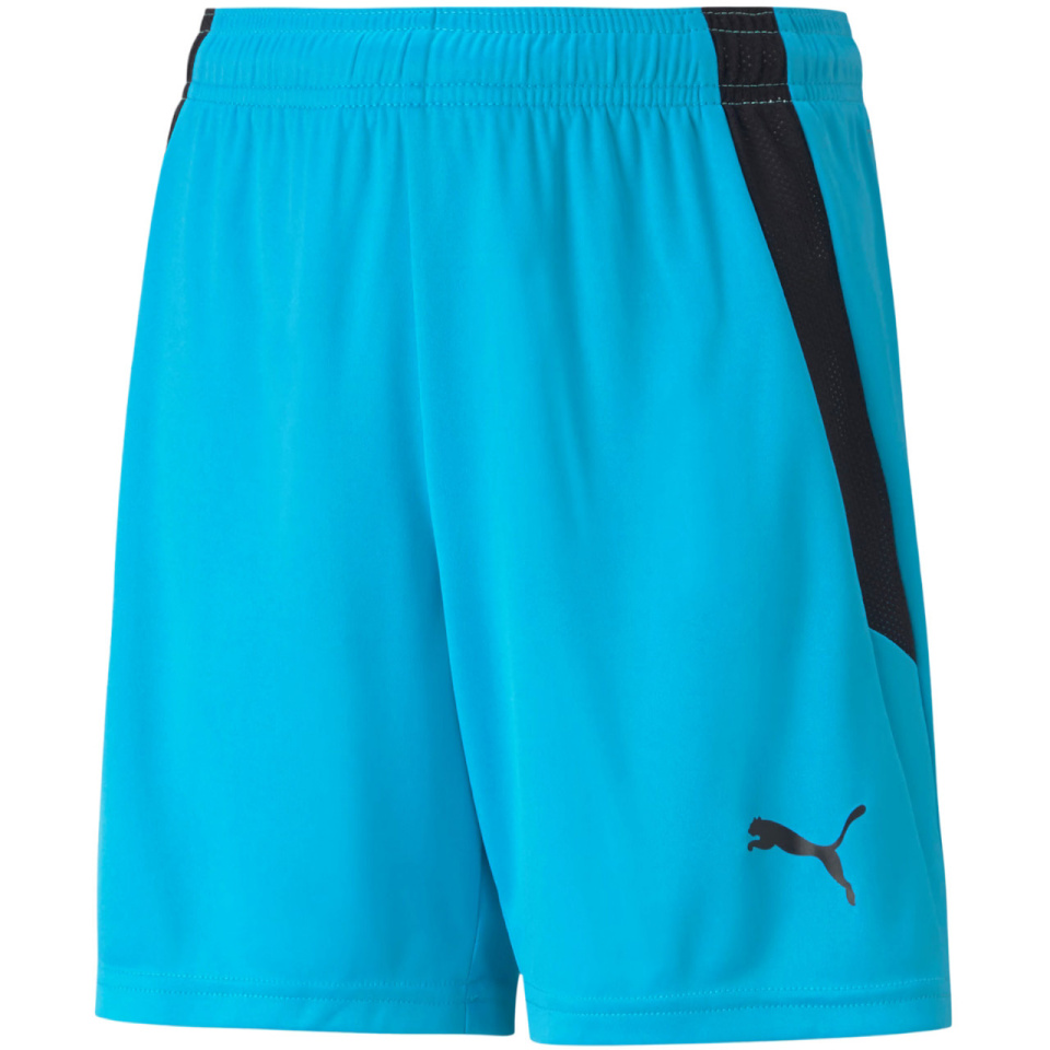 Lühikesed püksid Kids Puma Teamliga Shorts Jr sinine 704931 40 164cm