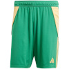Lühikesed püksid meestele Adidas Tiro 24 roheline IT2414 XL