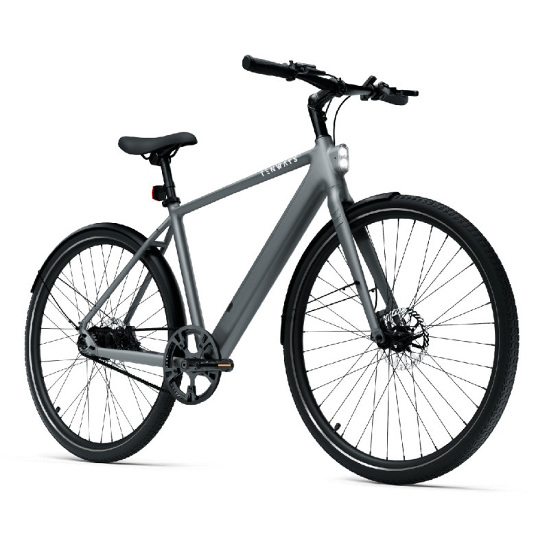 TENWAYS elektrijalgratas CGO600 PRO, 28" Light Grey, L