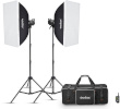 Godox stuudiovälk MS300V F Dual