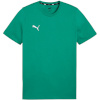 Puma T-särk meestele Team Goal Casuals Tee roheline 658615 05 suurus XXL