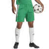 Lühikesed püksid meestele Adidas Tiro 23 League roheline IB8087 XL