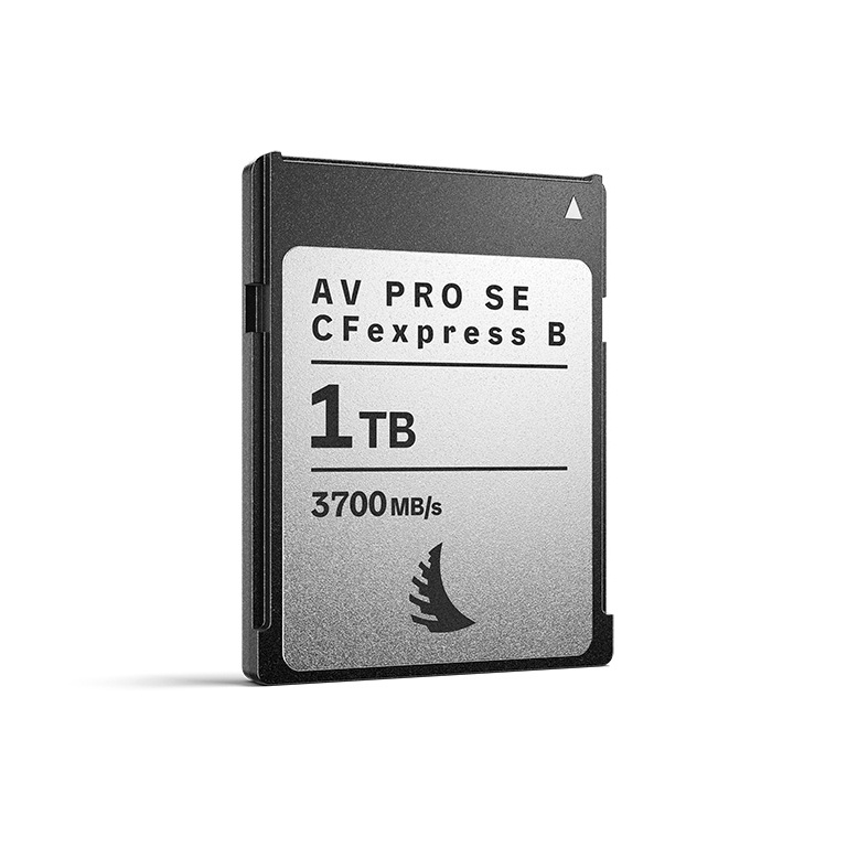 Angelbird mälukaart AV PRO SE CFexpress v4 1TB Type B, MK2 Professional