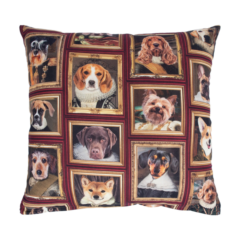 H4Y padi Holly, 45x45cm, koerad raamis