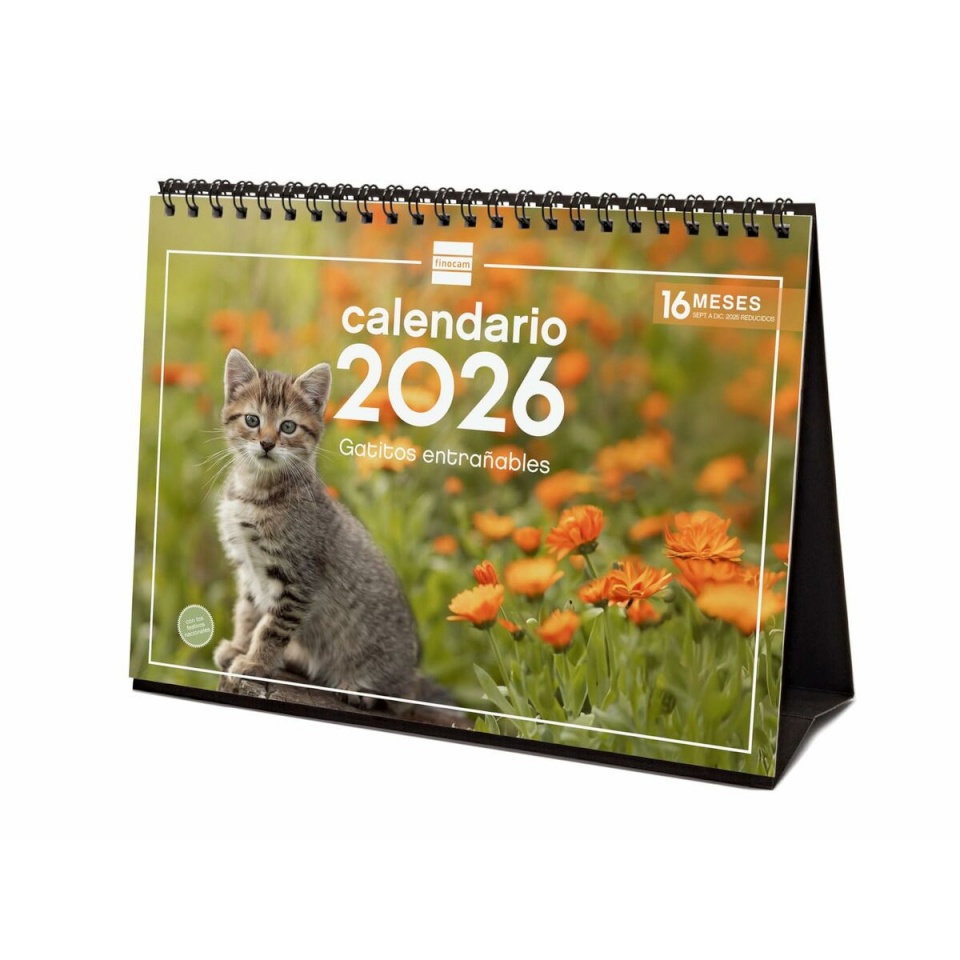 Finocam lauakalender mitmevärviline paber 21x15cm