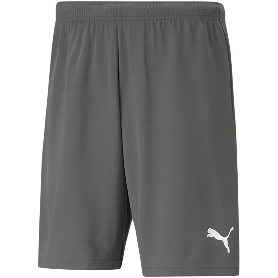 Lühikesed püksid Męskie Puma Teamrise Short hall 704942 13 M