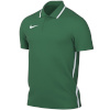 Nike Team T-särk meestele Dri-Fit Park 26 Polo roheline HM7136 302 suurus L