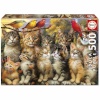 Educa pusle Gatitos y Pájaros 500-osaline