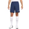 Lühikesed püksid meestele Nike Dri-Fit Academy 25 tumesinine FZ9776 410 XS