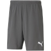 Lühikesed püksid Męskie Puma Teamrise Short hall 704942 13 XL