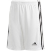 Lühikesed püksid Kids Adidas Squadra 21 Short Youth valge GN5766 152cm