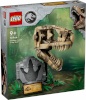 LEGO klotsid 76964 Jurassic World Dinosaurier-Fossilien: T.-Rex-Kopf