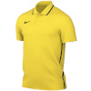 Nike Team T-särk meestele Dri-Fit Park 26 Polo kollane HM7136 719 suurus XS
