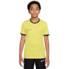 Nike Team T-särk lastele Dri-Fit Academy 25 SS kollane FZ9758 719 suurus XS