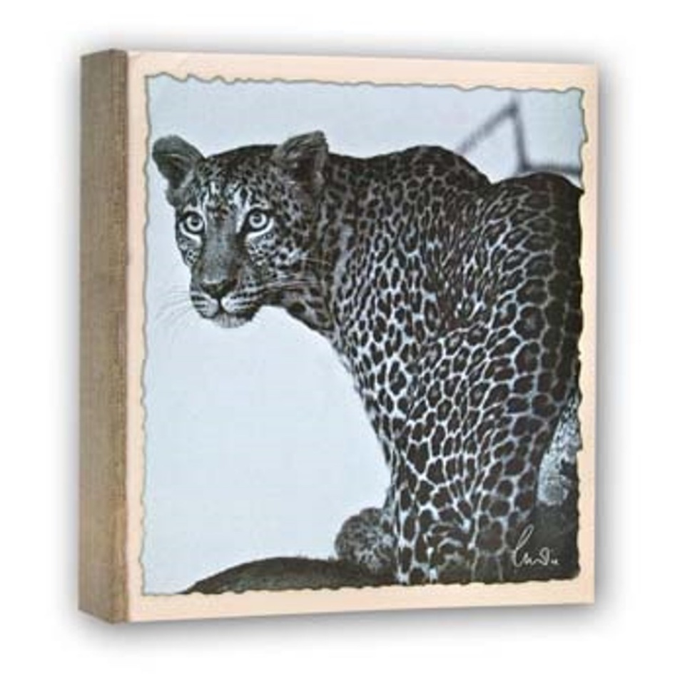 ZEP pildialbum WL57100 Album Slip-in 100 photos 13x19cm - 12 albums