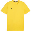 Puma T-särk meestele Team Goal Casuals Tee kollane 658615 07 suurus XL