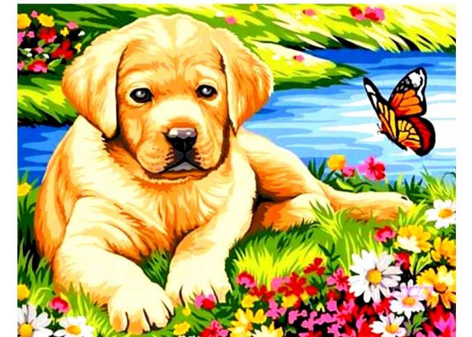 Norimpex teemantmaal Diamond Mosaic - Dog with a butterfly
