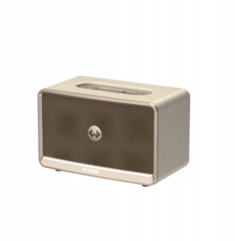 W-king kaasaskantav kõlar H330 Wireless Bluetooth Speaker – must