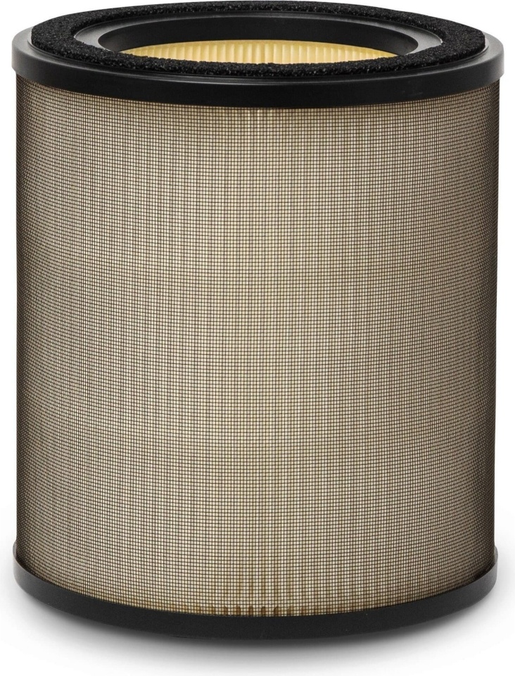Electroluxi EFFBTH4 filter