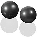 Gymstick EXERCISE WEIGHT BALL 2x1KG