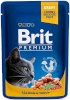 Brit kassitoit Premium Cat Salmon & Trout, 100g