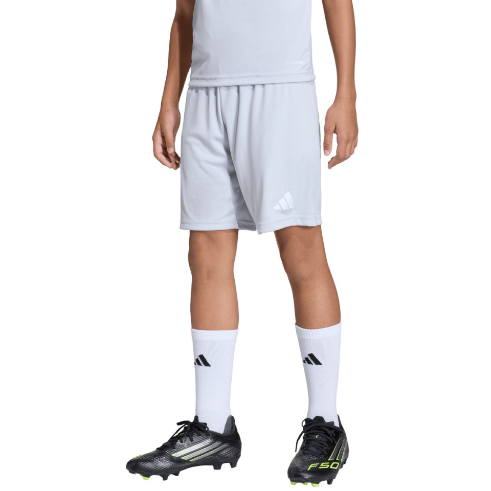 Lühikesed püksid Kids Adidas Entrada 26 Jasnoszare JZ6533 152cm