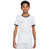 Nike Team T-särk lastele Dri-Fit Academy 25 SS valge FZ9758 100 suurus S