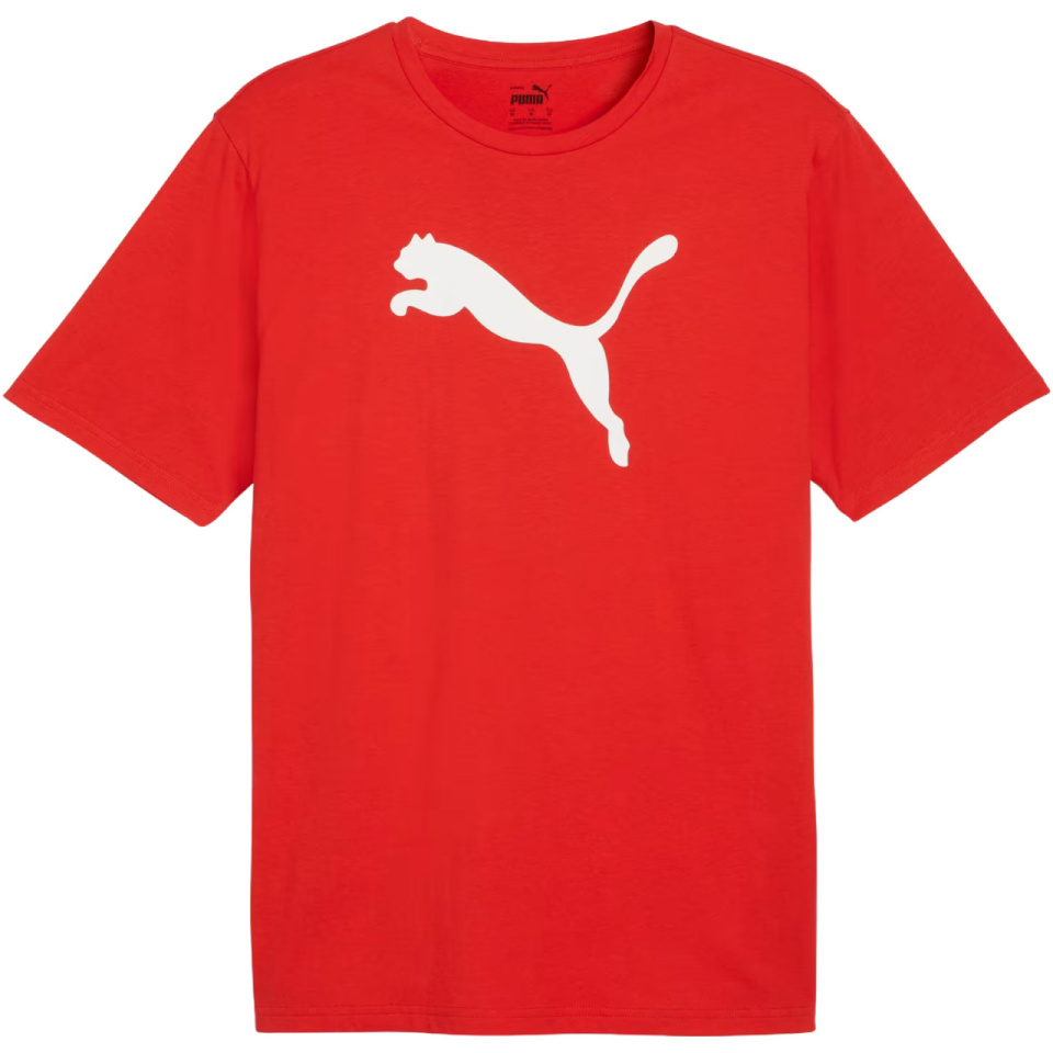 Puma T-särk meestele Team Rise Logo Jersey Cotton punane 658705 01 suurus S