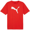 Puma T-särk meestele Team Rise Logo Jersey Cotton punane 658705 01 suurus M