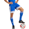 Lühikesed püksid meestele Adidas Squadra 25 sinine JH3405 L