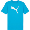 Puma T-särk meestele Team Rise Logo Jersey Cotton helesinine 658705 02 suurus M