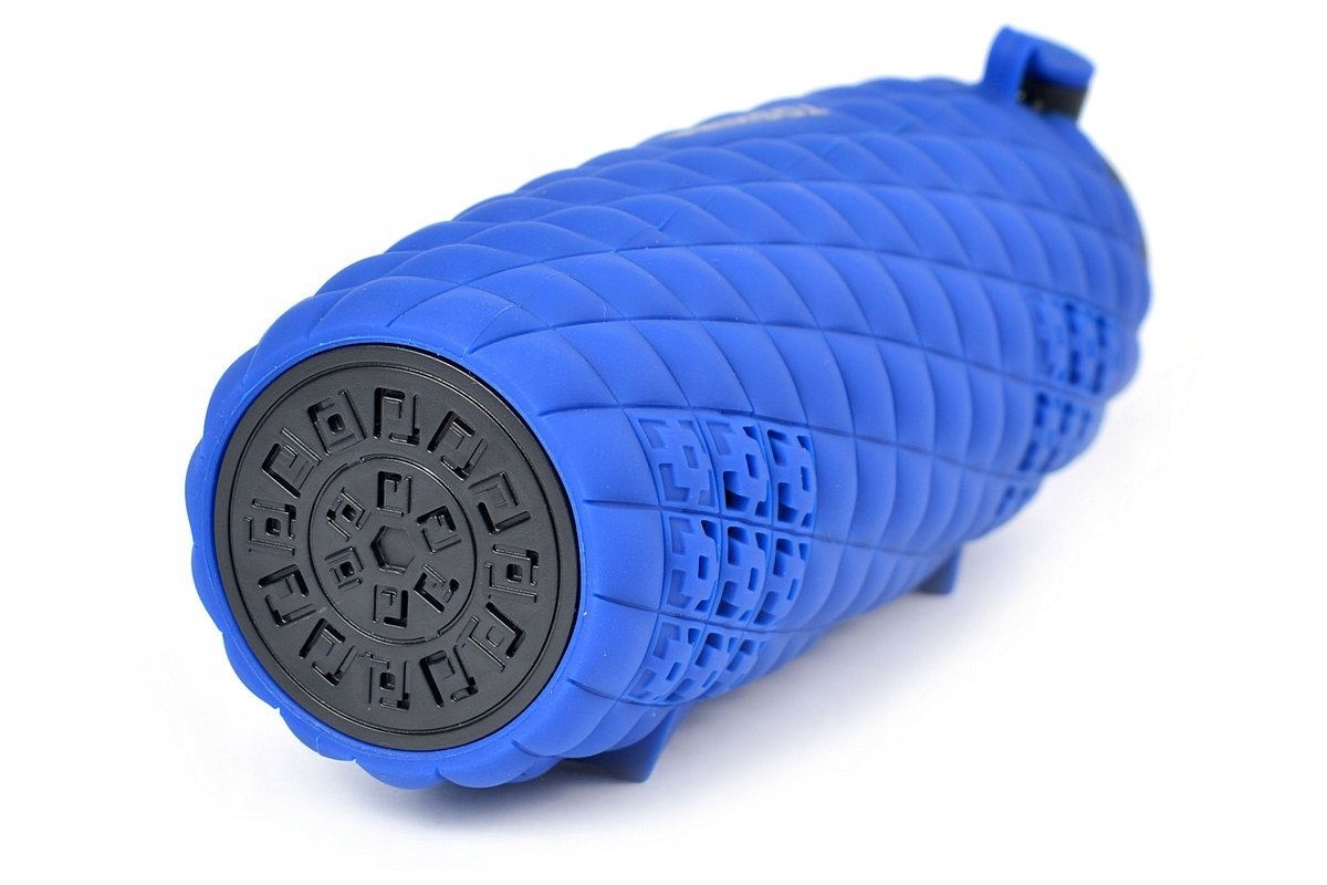 Toshiba kõlar Sonic Blast 2 TY-WSP80 Blue, sinine