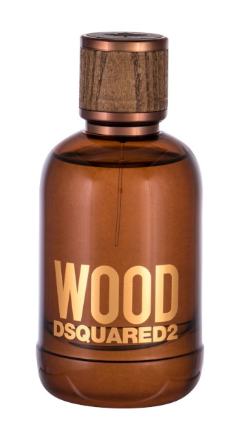 Dsquared2 parfüüm Wood 100ml, meestele