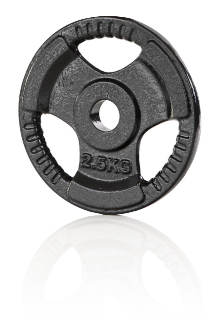 Gymstick raskusketas Iron Weight Plate 2.5kg